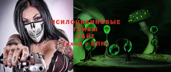 гидра Алексин