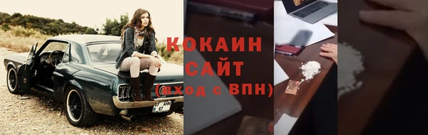 прущие крисы Новозыбков