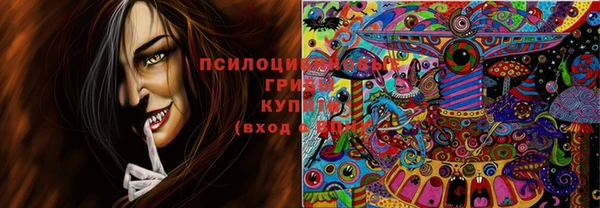 синтетический гашиш Новодвинск