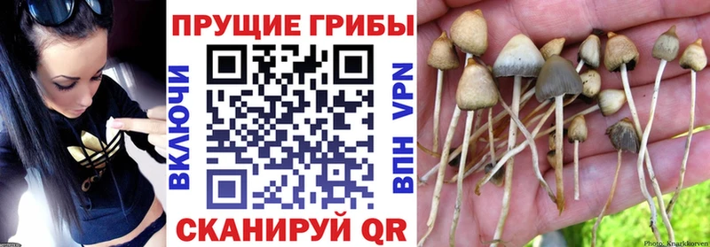 Псилоцибиновые грибы мухоморы  Иноземцево 